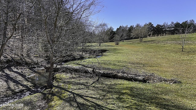 view of landscape