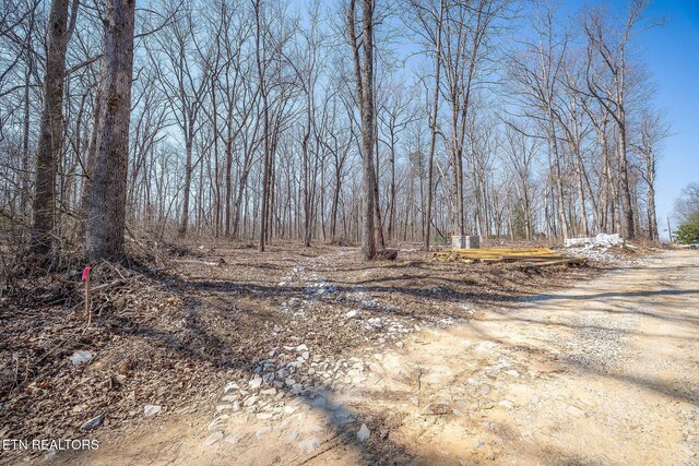 Morgan Cir Unit 51/52, Crossville, TN 38572