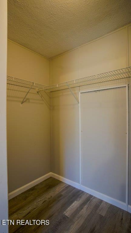 walk in closet featuring dark wood-style floors