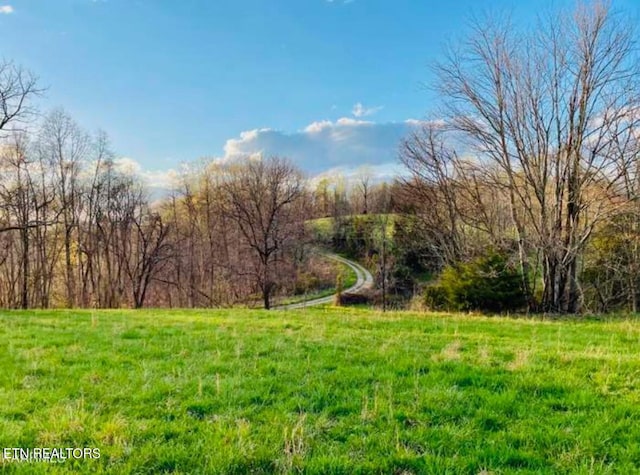 Chestnut Grove Rd, New Tazewell TN, 37825 land for sale