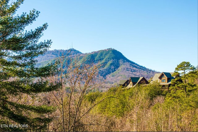 2150 Bear Haven Way, Sevierville, TN 37862 - photo 11