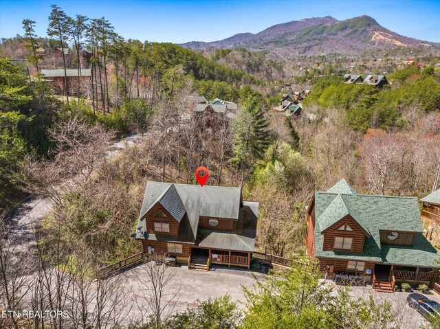 2150 Bear Haven Way, Sevierville, TN 37862 - photo 59