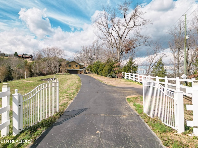 view of road with a gated entry, driveway, and a gate