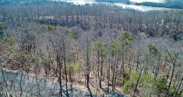 1410 Echota Ln, Mooresburg TN, 37811 land for sale