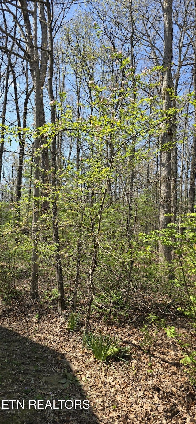 119 Anglewood Dr, Fairfield Glade, TN 38558 - photo 34