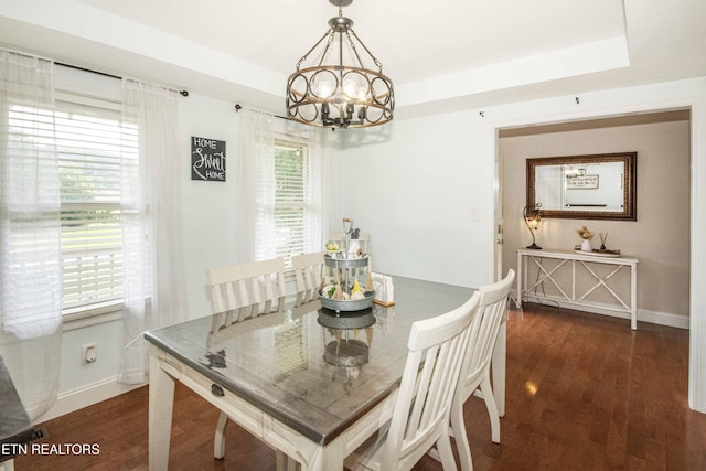 103 Branch Ln, Clinton, TN 37716 - dining space with a chandelier, wood finished floors, and a tray ceiling