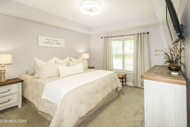 103 Branch Ln, Clinton, TN 37716 - bedroom featuring light carpet and a tray ceiling