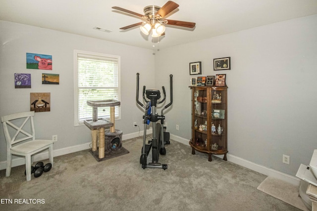 103 Branch Ln, Clinton, TN 37716 - exercise room with ceiling fan and carpet floors