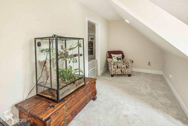 103 Branch Ln, Clinton, TN 37716 - living area with carpet and lofted ceiling