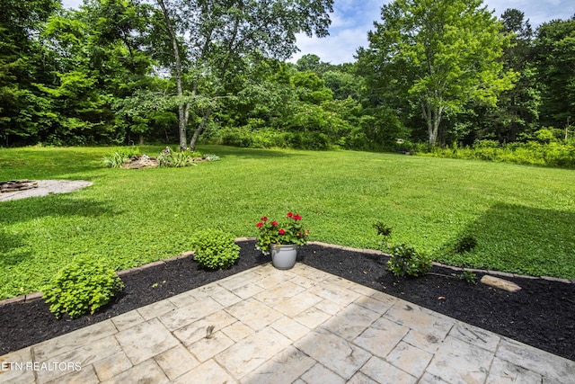 103 Branch Ln, Clinton, TN 37716 - view of green lawn featuring a patio