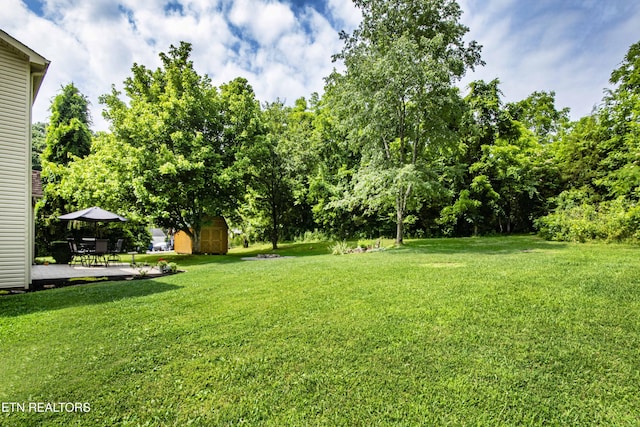 103 Branch Ln, Clinton, TN 37716 - view of green lawn with a storage shed and a patio