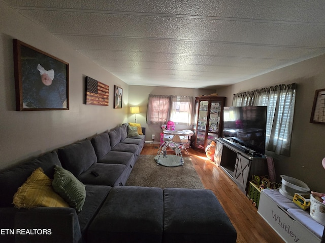 living room with wood finished floors