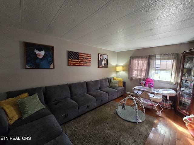 living room with a textured ceiling and hardwood / wood-style floors