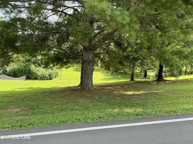 Hawkins Rd, Sweetwater, TN 37874 - photo 3