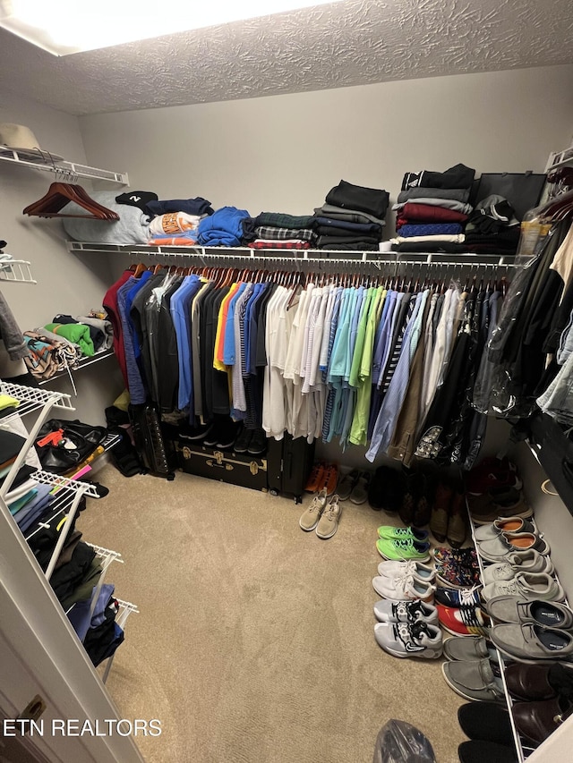 spacious closet featuring carpet