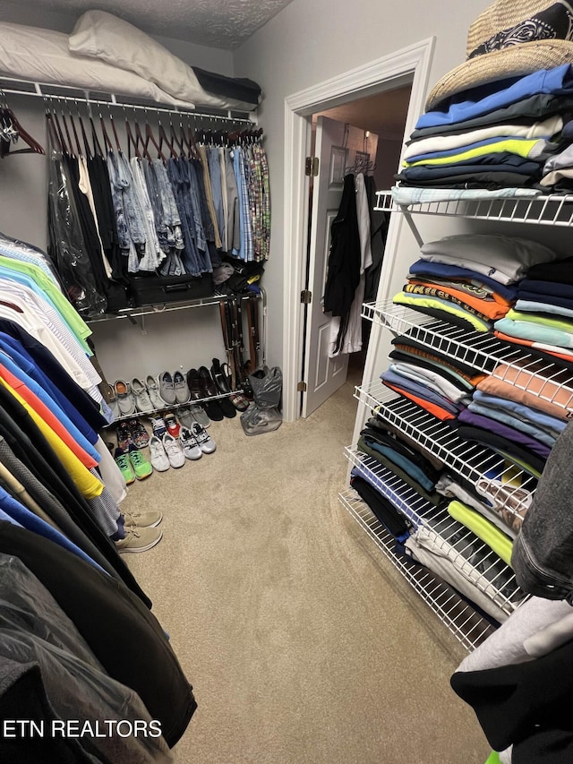 spacious closet featuring carpet