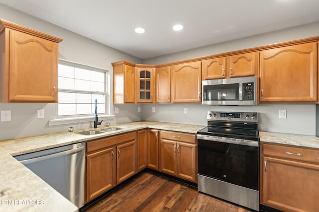 kitchen featuring recessed lighting, dark wood-type flooring, a sink, appliances with stainless steel finishes, and glass insert cabinets