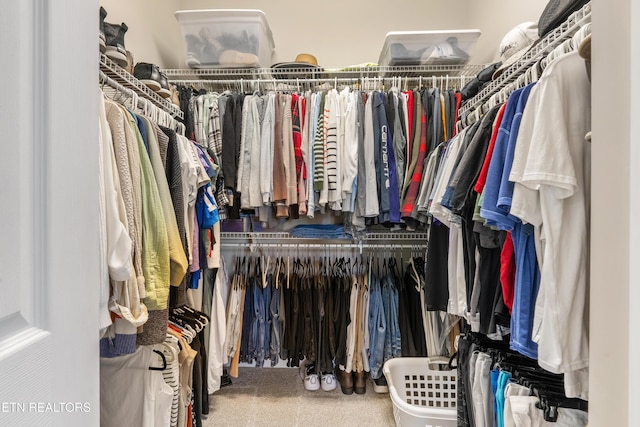 walk in closet featuring carpet floors