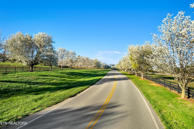 view of road with a rural view