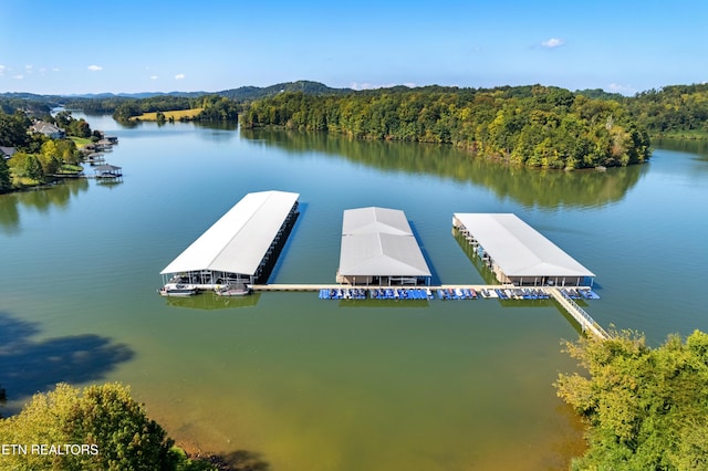 dock area with a forest view and a water view