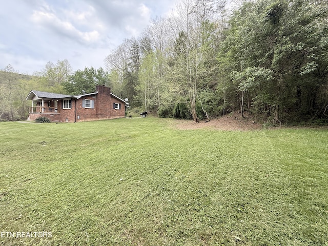 view of yard