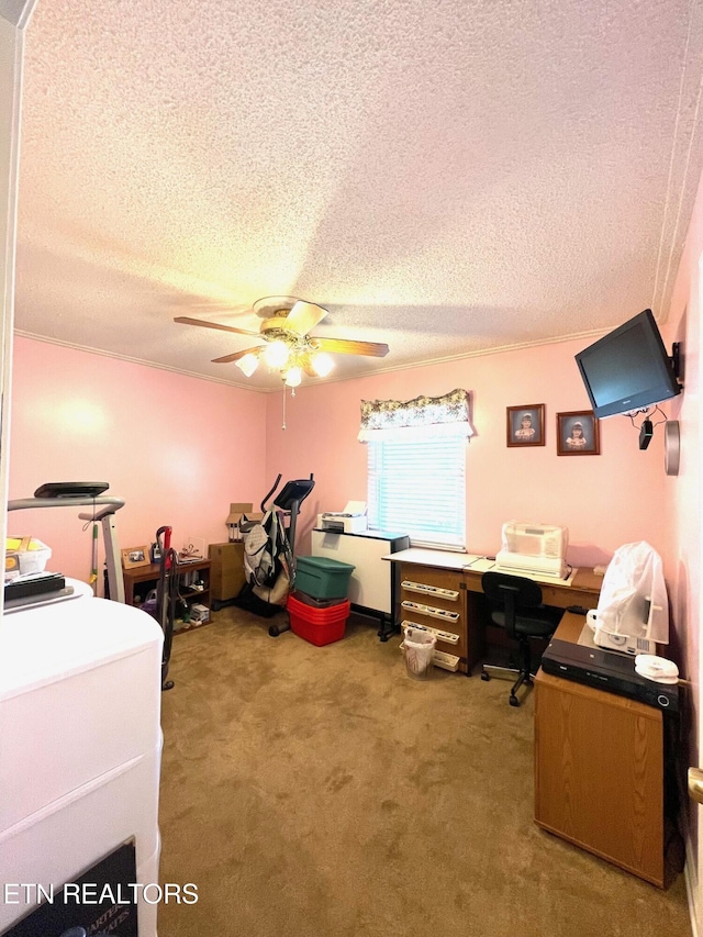 carpeted office space with a textured ceiling and ceiling fan