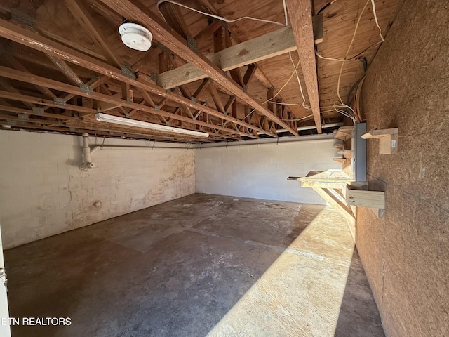 basement featuring concrete block wall