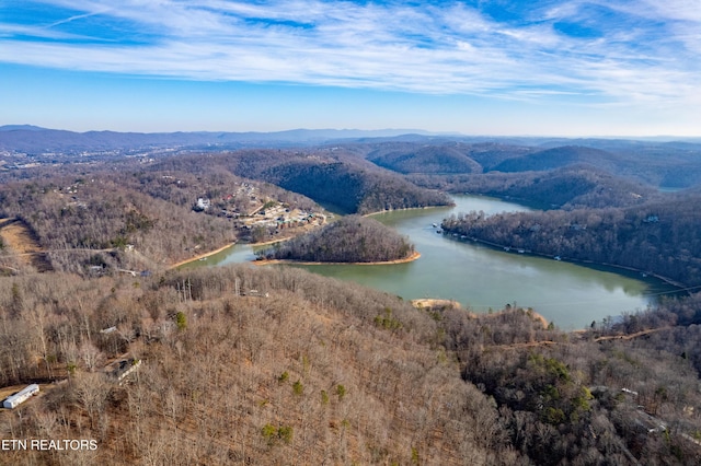 Shady Cove Rd, Caryville TN, 37714 land for sale