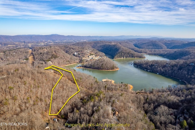 Listing photo 2 for Shady Cove Rd, Caryville TN 37714