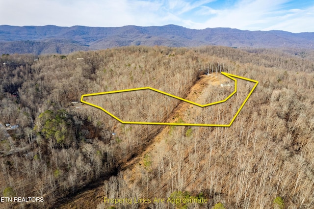 Listing photo 3 for Shady Cove Rd, Caryville TN 37714