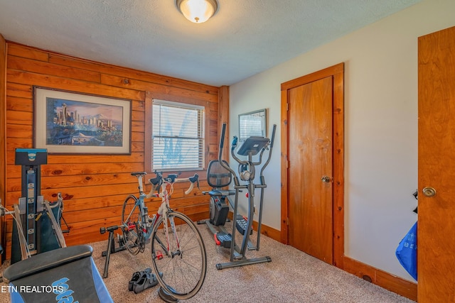 workout area with a textured ceiling, carpet, baseboards, and wooden walls