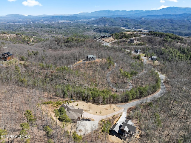 bird's eye view with a mountain view