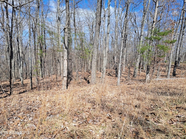 349 Rotherham Dr, Crossville, TN 38558 - photo 3