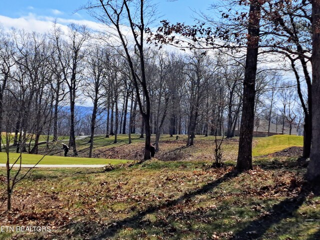 349 Rotherham Dr, Crossville, TN 38558 - photo 9