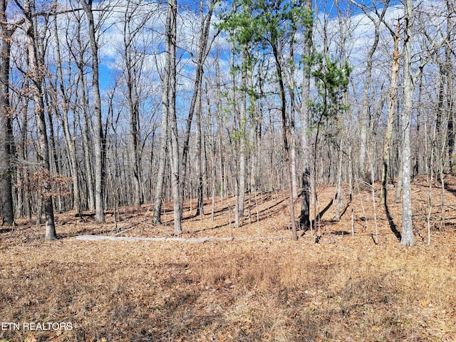 349 Rotherham Dr, Crossville, TN 38558 - photo 1