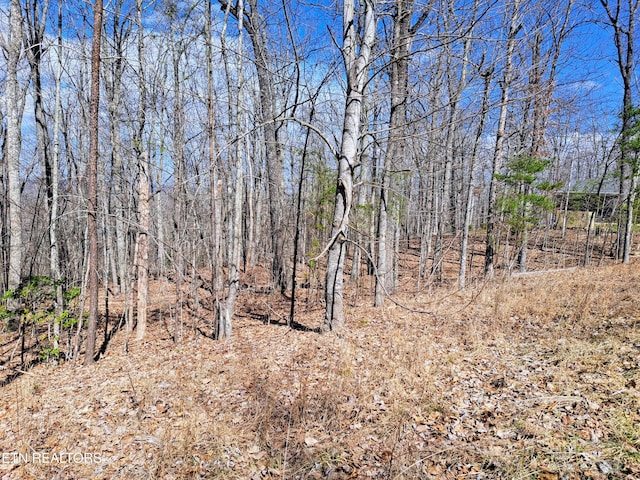 349 Rotherham Dr, Crossville, TN 38558 - photo 2