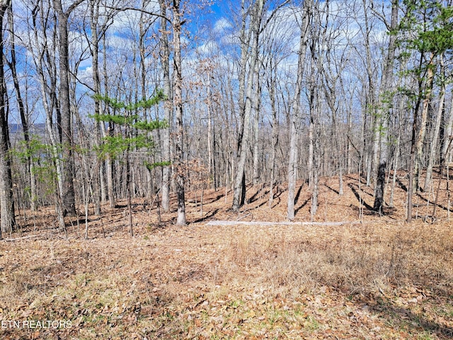 349 Rotherham Dr, Crossville, TN 38558 - photo 4