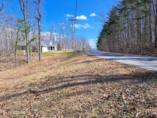 349 Rotherham Dr, Crossville, TN 38558 - photo 6