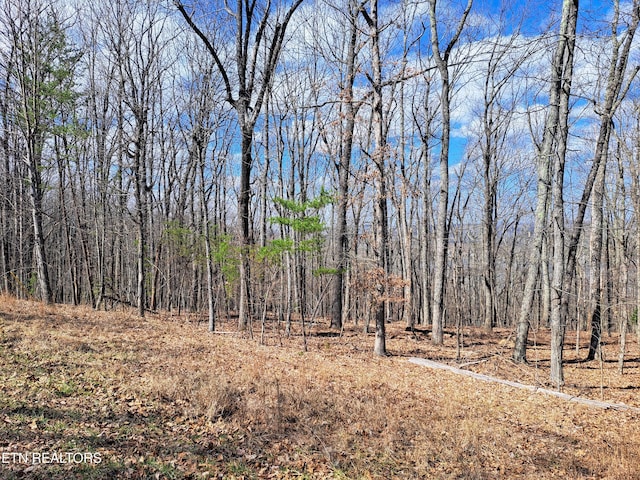 349 Rotherham Dr, Crossville, TN 38558 - photo 5