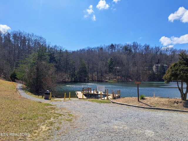 349 Rotherham Dr, Crossville, TN 38558 - photo 10