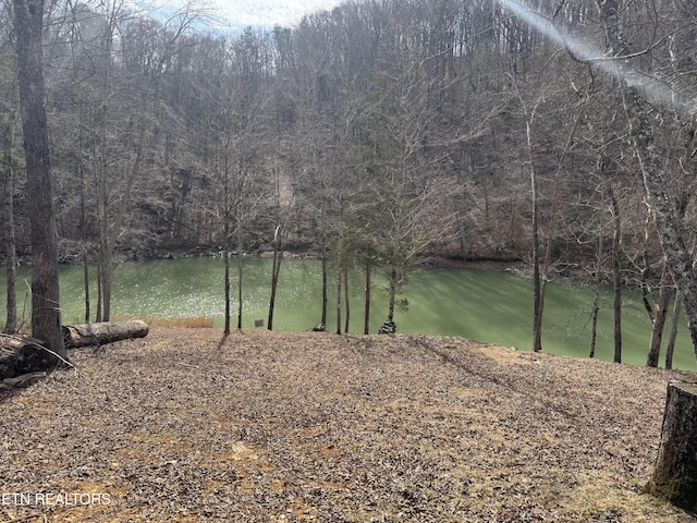 Listing photo 2 for 348 Wagon Ln, Speedwell TN 37870