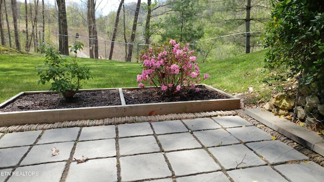 view of yard with a vegetable garden and fence