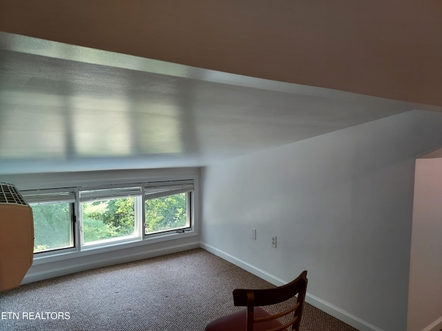 bonus room featuring carpet floors and baseboards