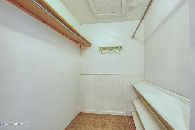 spacious closet featuring attic access and carpet flooring