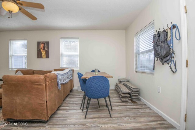 1810 Old Niles Ferry Rd, Maryville, TN 37803 - photo 21