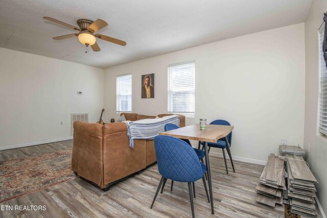 1810 Old Niles Ferry Rd, Maryville, TN 37803 - photo 22