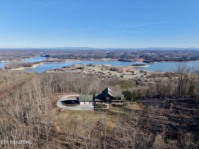 property view of water featuring a mountain view