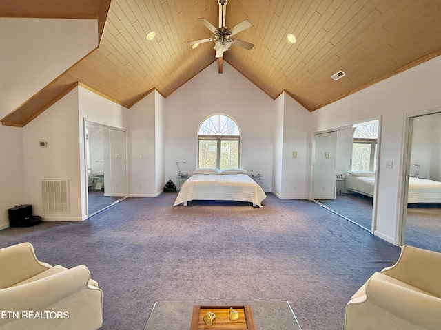 carpeted bedroom with multiple windows, visible vents, and multiple closets