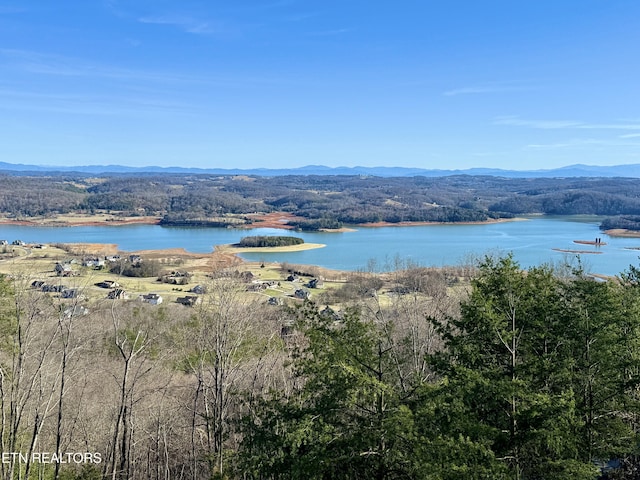 water view featuring a mountain view and a view of trees