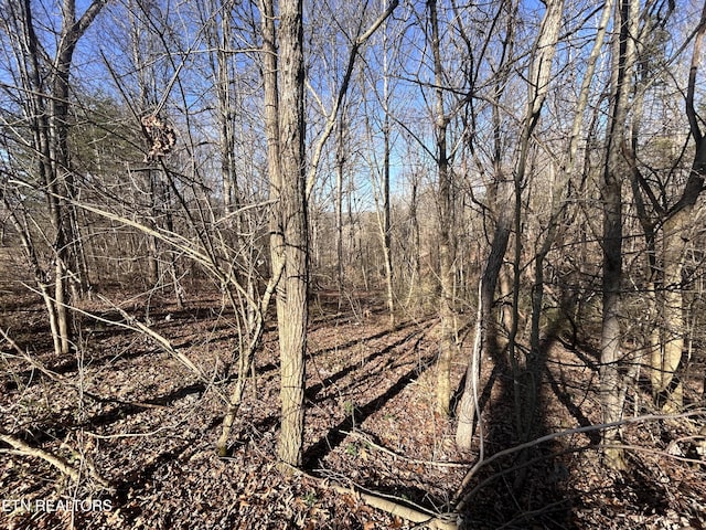 Listing photo 2 for LOT47 Ernie Roberts Rd, Rutledge TN 37861